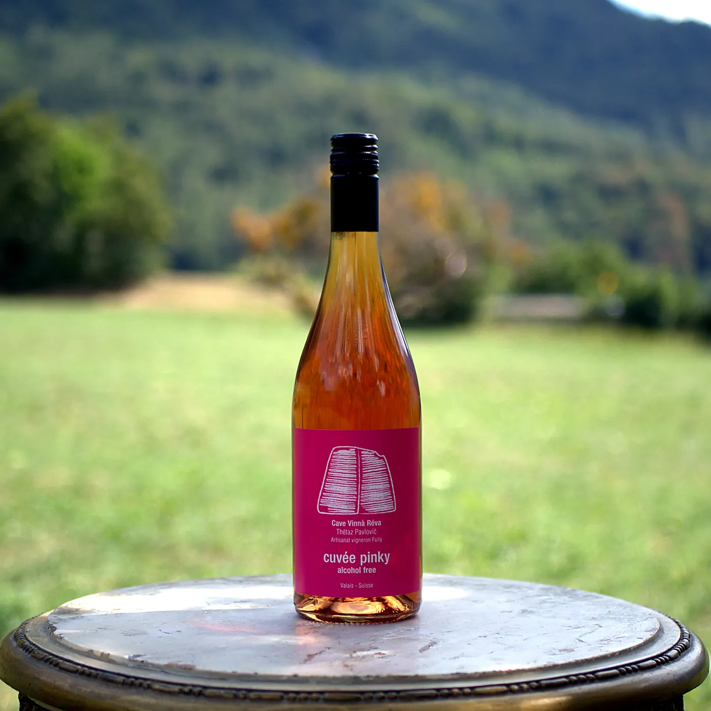 Vinnà Réva Cuvée Pinky