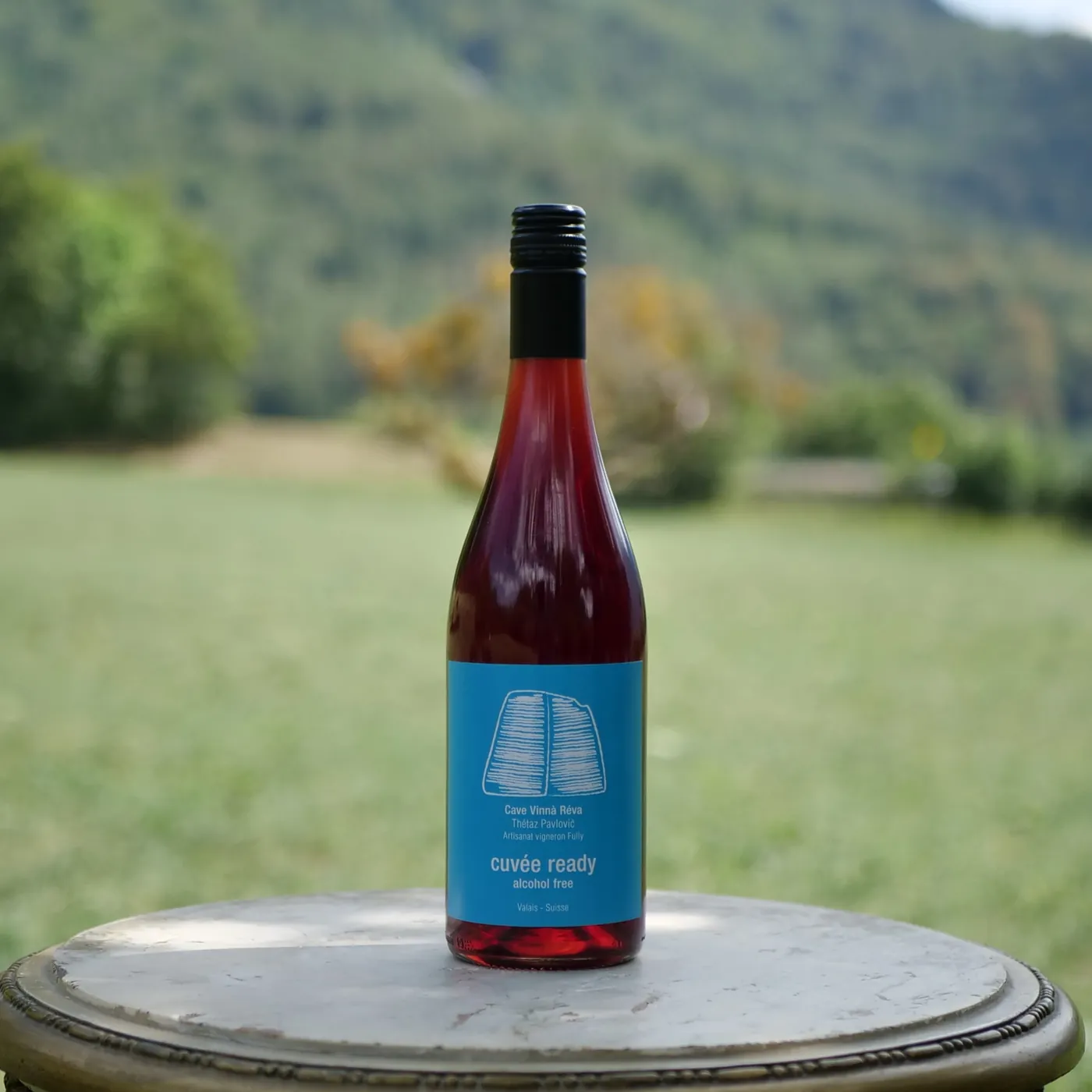 Vinnà Réva - Cuvée Nazdravi Rouge